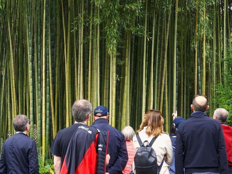 Raduno di Primavera 2025 - Porsche Classic