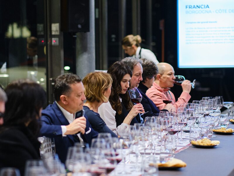 Tour de France: Wine Tasting Experience